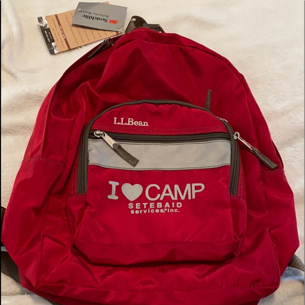 NWT L.L. Bean Diabetic backpack